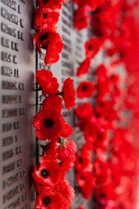 Poppies at War Memorial