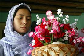 Afghan war widow